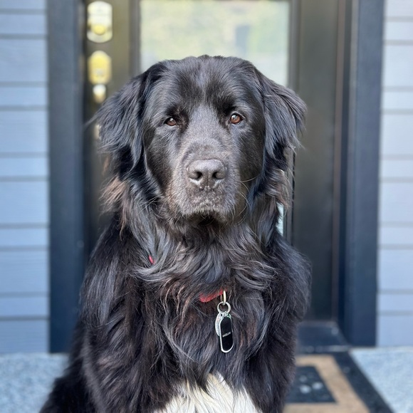 SCAN THIS CODE 4 $10 OFF YOUR FIRST PURCHASE! - Picture 11 of 12